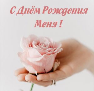 Скачать бесплатно Прикольная картинка на свой день рождения с цветами на сайте WishesCards.ru