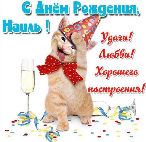 Скачать бесплатно Прикольная картинка Наиль с днем рождения на сайте WishesCards.ru