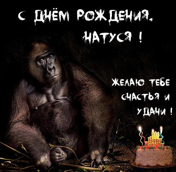 Скачать бесплатно Прикольная картинка Натуся с днем рождения на сайте WishesCards.ru