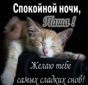 Скачать бесплатно Прикольная картинка Паша спокойной ночи на сайте WishesCards.ru