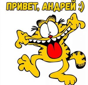 Скачать бесплатно Прикольная картинка привет Андрей на сайте WishesCards.ru