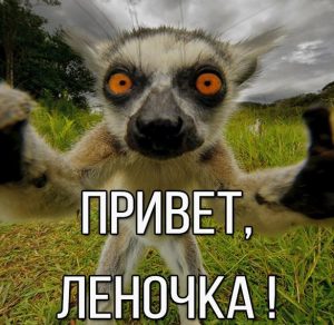 Скачать бесплатно Прикольная картинка привет Леночка на сайте WishesCards.ru