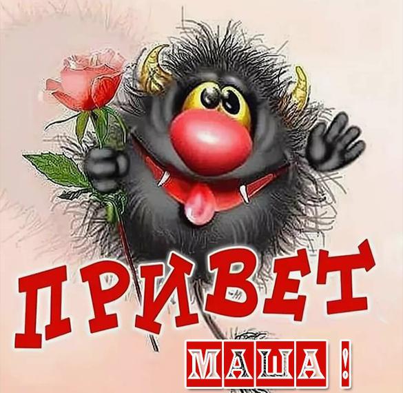 Скачать бесплатно Прикольная картинка привет Маша на сайте WishesCards.ru