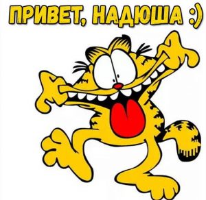 Скачать бесплатно Прикольная картинка привет Надюша на сайте WishesCards.ru