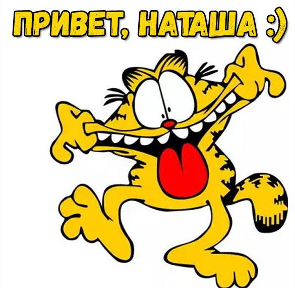 Скачать бесплатно Прикольная картинка привет Наташа на сайте WishesCards.ru
