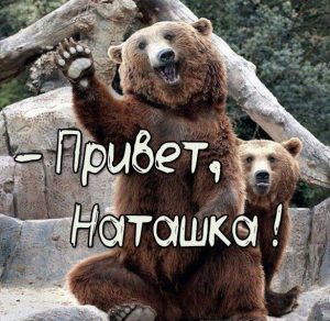 Скачать бесплатно Прикольная картинка привет Наташка на сайте WishesCards.ru