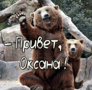 Скачать бесплатно Прикольная картинка привет Оксана на сайте WishesCards.ru