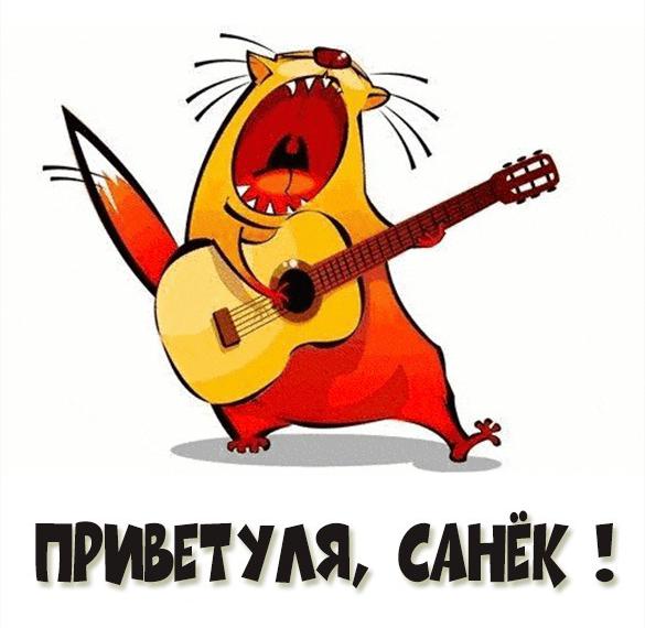 Скачать бесплатно Прикольная картинка привет Санек на сайте WishesCards.ru