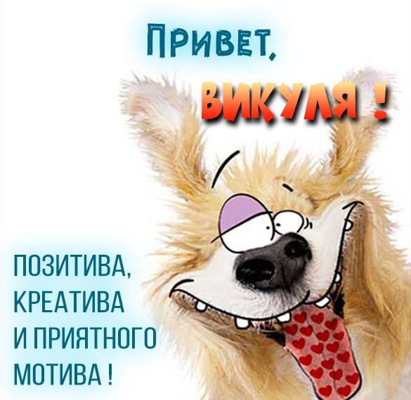 Скачать бесплатно Прикольная картинка привет Вика на сайте WishesCards.ru