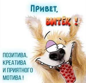 Скачать бесплатно Прикольная картинка привет Витек на сайте WishesCards.ru
