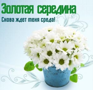 Скачать бесплатно Прикольная картинка про реда день недели среду на сайте WishesCards.ru