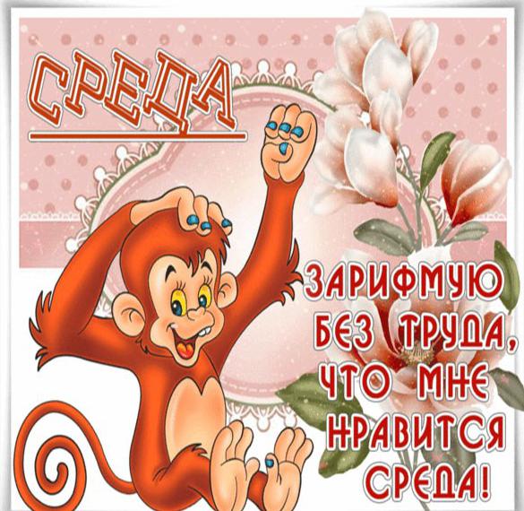 Скачать бесплатно Прикольная картинка про среду с обезьянами на сайте WishesCards.ru