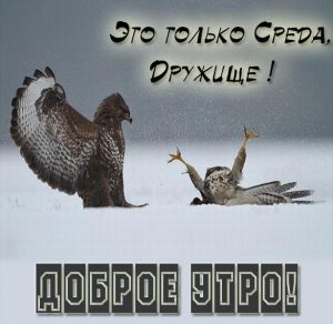 Скачать бесплатно Прикольная картинка про утро среды с надписью на сайте WishesCards.ru