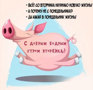 Скачать бесплатно Прикольная картинка про вторник с надписью доброе утро на сайте WishesCards.ru