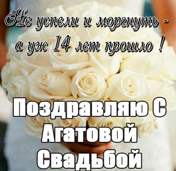 Скачать бесплатно Прикольная картинка с агатовой свадьбой на сайте WishesCards.ru