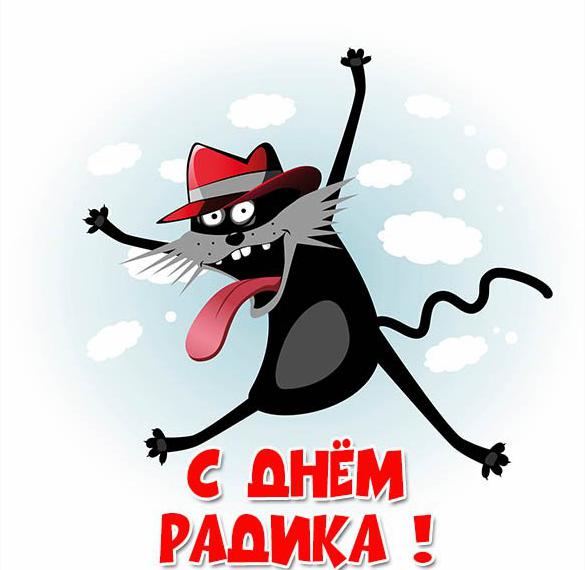 Скачать бесплатно Прикольная картинка с днем Радика на сайте WishesCards.ru