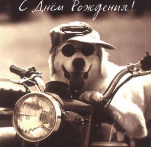 Скачать бесплатно Прикольная картинка с днем рождения байкеру на сайте WishesCards.ru