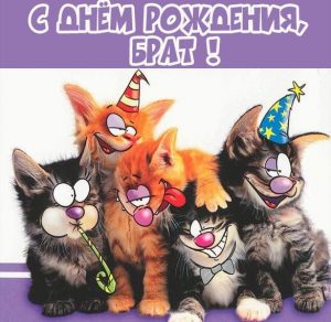 Скачать бесплатно Прикольная картинка с днем рождения брат на сайте WishesCards.ru