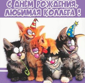 Скачать бесплатно Прикольная картинка с днем рождения девушке коллеге на сайте WishesCards.ru