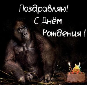 Скачать бесплатно Прикольная картинка с днем рождения девушке на сайте WishesCards.ru