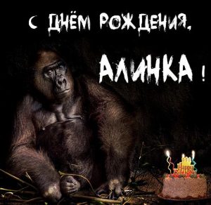 Скачать бесплатно Прикольная картинка с днем рождения для Алинки на сайте WishesCards.ru