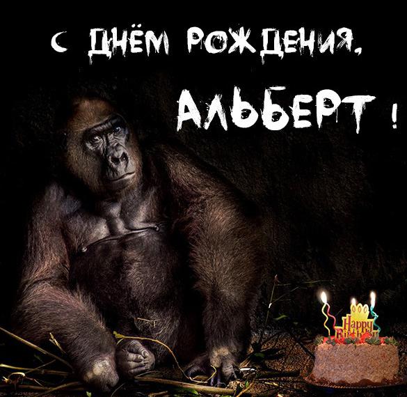Скачать бесплатно Прикольная картинка с днем рождения для Альберта на сайте WishesCards.ru
