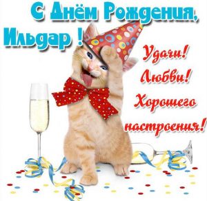 Скачать бесплатно Прикольная картинка с днем рождения для Ильдара на сайте WishesCards.ru