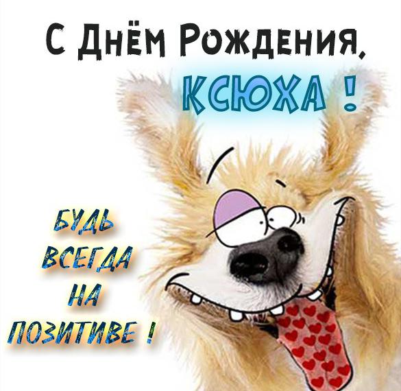 Скачать бесплатно Прикольная картинка с днем рождения для Ксении на сайте WishesCards.ru