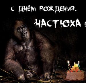 Скачать бесплатно Прикольная картинка с днем рождения для Настюхи на сайте WishesCards.ru