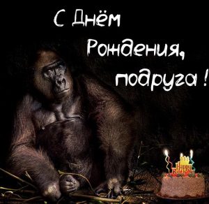 Скачать бесплатно Прикольная картинка с днем рождения для подруги на сайте WishesCards.ru