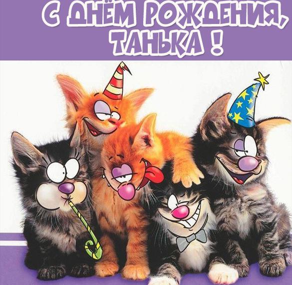 Скачать бесплатно Прикольная картинка с днем рождения для Таньки на сайте WishesCards.ru