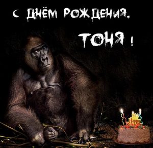 Скачать бесплатно Прикольная картинка с днем рождения для Тони на сайте WishesCards.ru