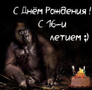 Скачать бесплатно Прикольная картинка с днем рождения на 16 лет на сайте WishesCards.ru