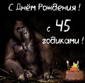 Скачать бесплатно Прикольная картинка с днем рождения на 45 лет на сайте WishesCards.ru