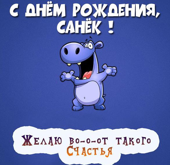 Скачать бесплатно Прикольная картинка с днем рождения Санек на сайте WishesCards.ru