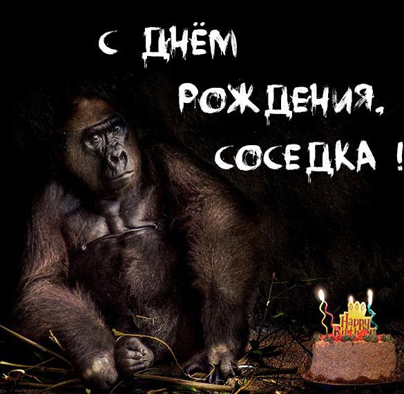Скачать бесплатно Прикольная картинка с днем рождения соседка на сайте WishesCards.ru