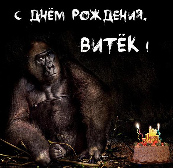 Скачать бесплатно Прикольная картинка с днем рождения Витек на сайте WishesCards.ru