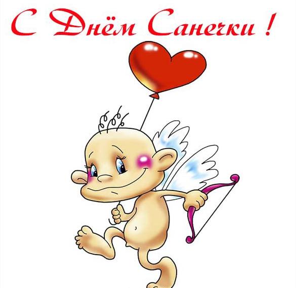 Скачать бесплатно Прикольная картинка с днем Санечки на сайте WishesCards.ru