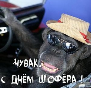 Скачать бесплатно Прикольная картинка с днем шофера на сайте WishesCards.ru