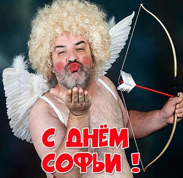 Скачать бесплатно Прикольная картинка с днем Софьи на сайте WishesCards.ru