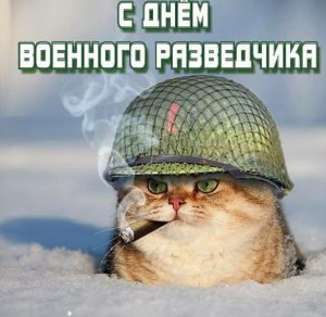Скачать бесплатно Прикольная картинка с днем военного разведчика на сайте WishesCards.ru