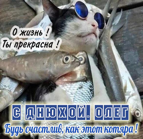 Скачать бесплатно Прикольная картинка с днюхой Олег на сайте WishesCards.ru