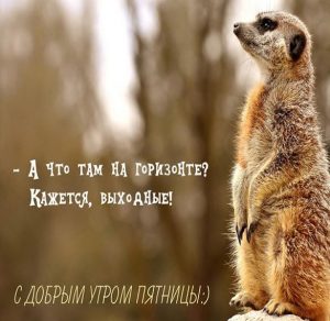 Скачать бесплатно Прикольная картинка с добрым утром пятницы друзьям на сайте WishesCards.ru