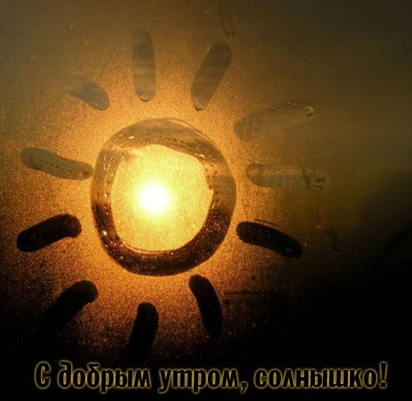 Скачать бесплатно Прикольная картинка с добрым утром солнышко на сайте WishesCards.ru