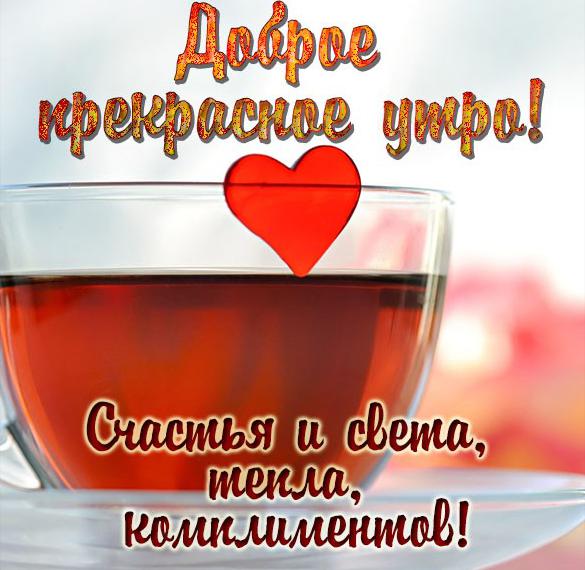 Скачать бесплатно Прикольная картинка с надписью доброе прекрасное утро на сайте WishesCards.ru