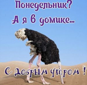 Скачать бесплатно Прикольная картинка с надписью доброе утро понедельника на сайте WishesCards.ru