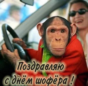 Скачать бесплатно Прикольная картинка с надписью с днем шофера на сайте WishesCards.ru