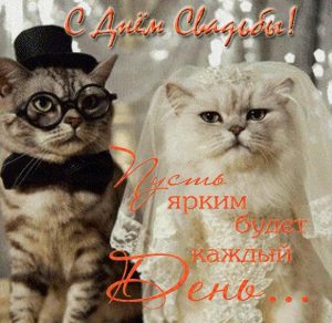Скачать бесплатно Прикольная картинка с поздравлением на день свадьбы на сайте WishesCards.ru