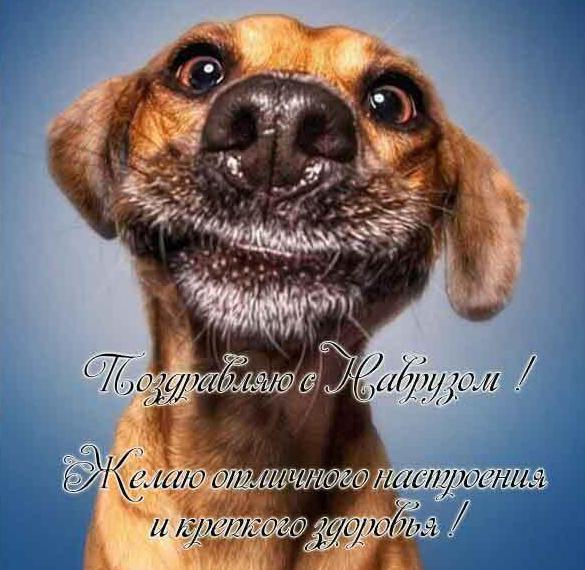 Скачать бесплатно Прикольная картинка с поздравлением на Наурыз на сайте WishesCards.ru
