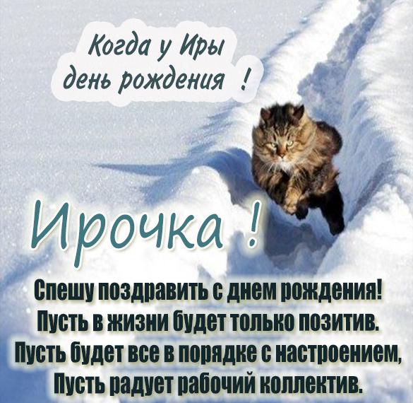 Скачать бесплатно Прикольная картинка с поздравлением с днем рождения Ирочке на сайте WishesCards.ru